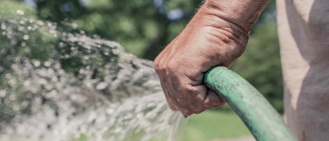 man holding spraying garden hose